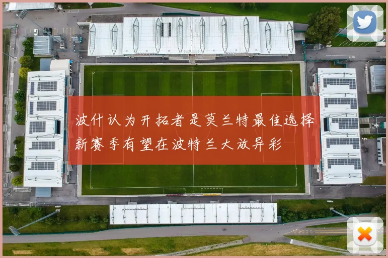 波什认为开拓者是莫兰特最佳选择新赛季有望在波特兰大放异彩