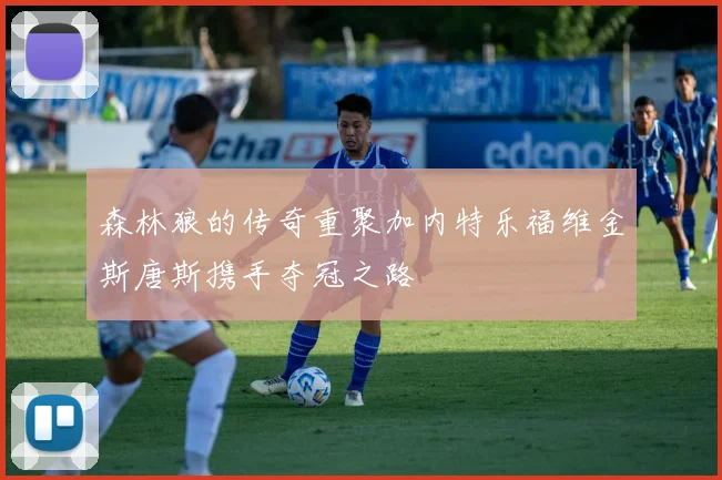 森林狼的传奇重聚加内特乐福维金斯唐斯携手夺冠之路