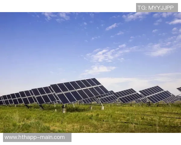 米诺特热爱绿军环境称这里的一切都超出了他的预期